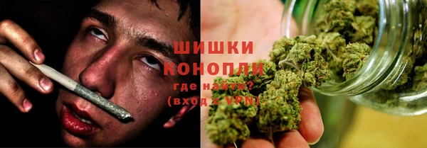 ПСИЛОЦИБИНОВЫЕ ГРИБЫ Аркадак