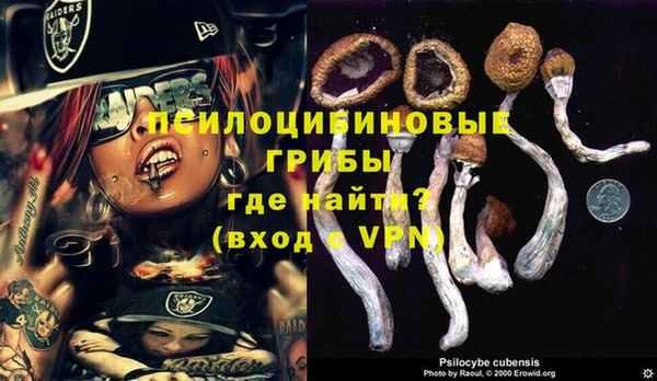 крисы Алексин