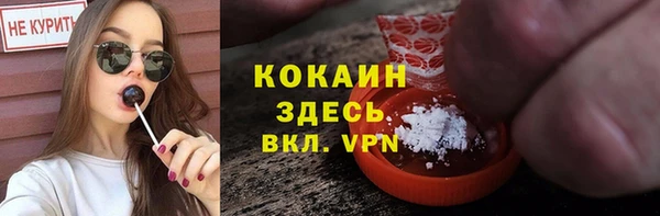 ПСИЛОЦИБИНОВЫЕ ГРИБЫ Аркадак