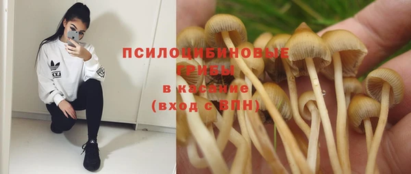 прущий лед Арсеньев