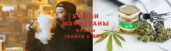 ПСИЛОЦИБИНОВЫЕ ГРИБЫ Аркадак
