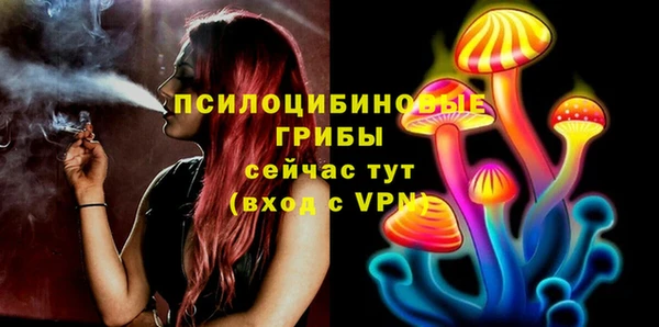 прущий лед Арсеньев